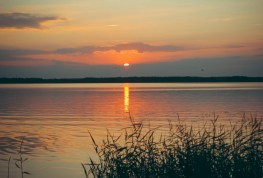 ЛЕТНИЙ КОРПОРАТИВ 2017 (ВИЛЕЙКА)